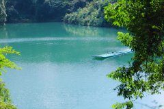 历史遗留问题久拖不决,全国首家民营国家森林公园面临“灭顶